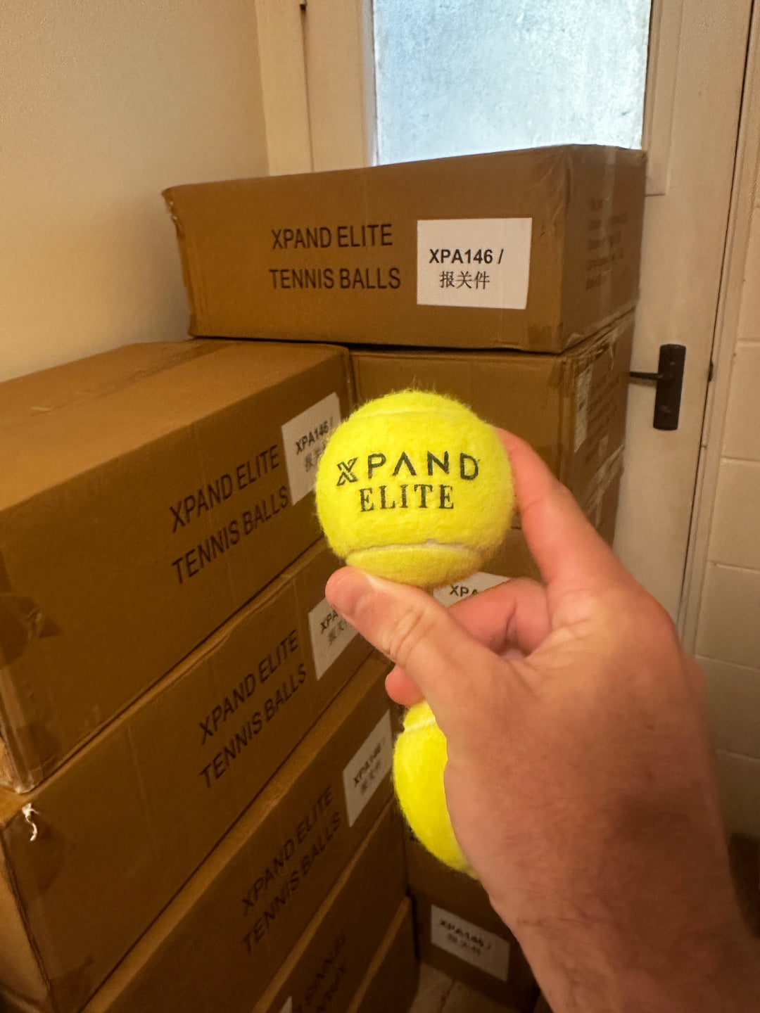 Tennis Balls (120 box)